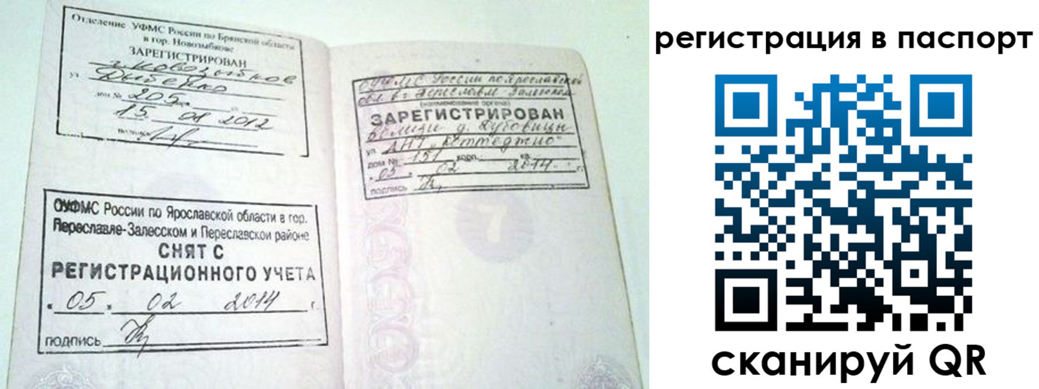 прописка в квартире в Новоузенске